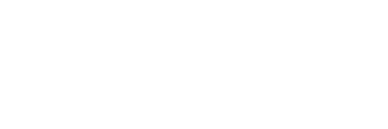 Профессионалы